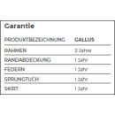 Akrobat Gallus PLUS Trampolin Schwarz/Grau - Der Bestseller für den gewerblichen Gebrauch!