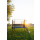 Akrobat XCITYX Trampolin Blau/Schwarz